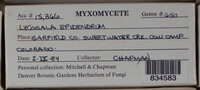 Image Associated With the Occurence
